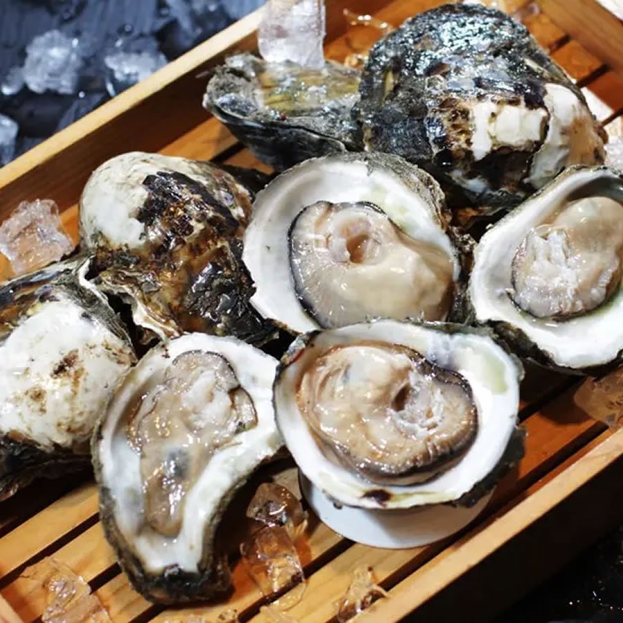 Hotel SEO Agency Oyster Shot